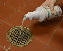 Drain Maintenance